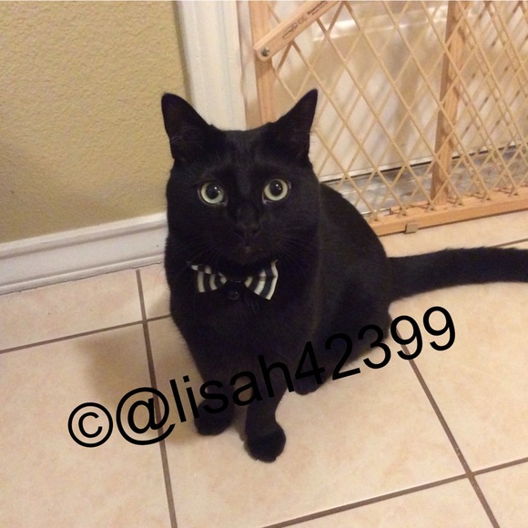 Meet your Posher, Lisa - Picture 10 of 11